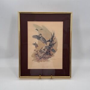 Vintage Bobwhite Quail Print Douglas Van Horne Framed Wildlife Bird Hunting Art